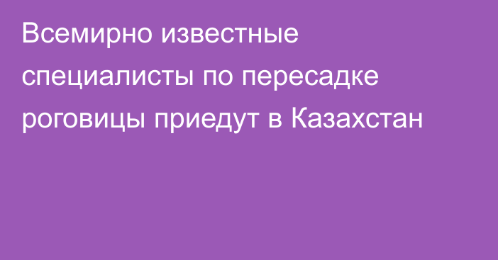 Всемирно известные специалисты по пересадке роговицы приедут в Казахстан