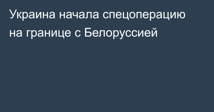 Украина начала спецоперацию на границе с Белоруссией