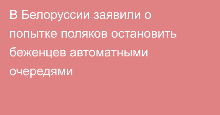 В Белоруссии заявили о попытке поляков остановить беженцев автоматными очередями