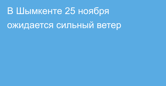 В Шымкенте 25 ноября ожидается сильный ветер