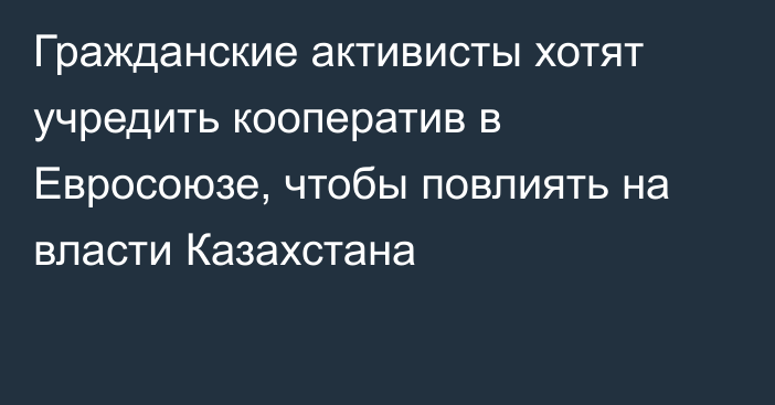 Гражданские активисты хотят учредить кооператив в Евросоюзе, чтобы повлиять на власти Казахстана