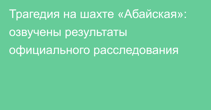 Трагедия на шахте «Абайская»: озвучены результаты официального расследования