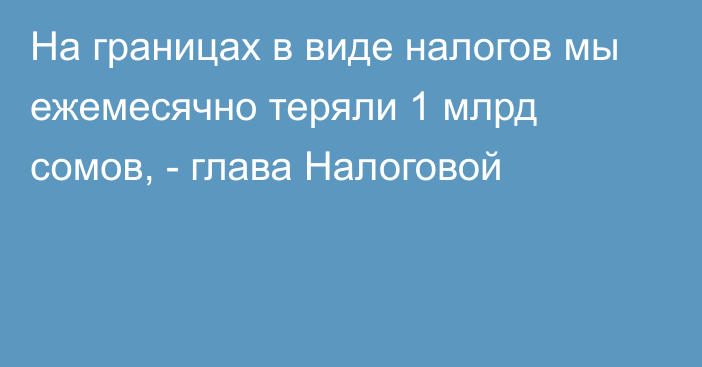 На границах в виде налогов мы ежемесячно теряли 1 млрд сомов, - глава Налоговой