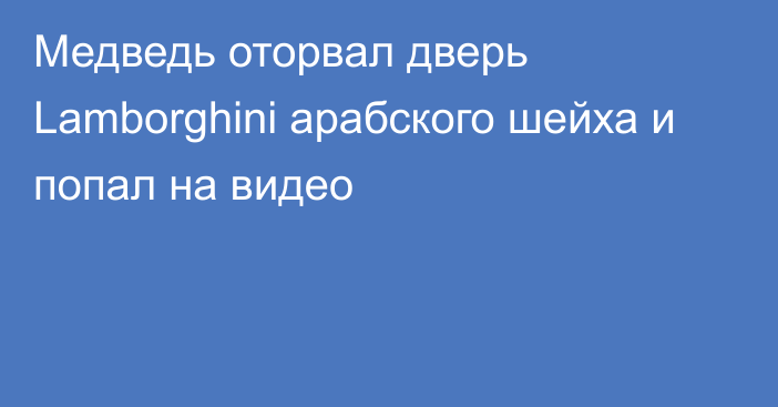 Медведь оторвал дверь Lamborghini арабского шейха и попал на видео