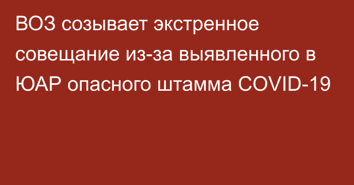 ВОЗ созывает экстренное совещание из-за выявленного в ЮАР опасного штамма COVID-19