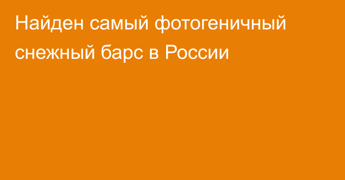 Найден самый фотогеничный снежный барс в России