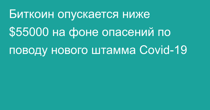 Биткоин опускается ниже $55000 на фоне опасений по поводу нового штамма Covid-19