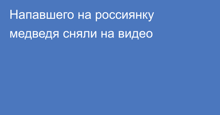 Напавшего на россиянку медведя сняли на видео