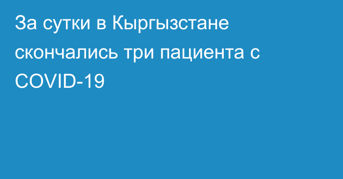 За сутки в Кыргызстане скончались три пациента с COVID-19