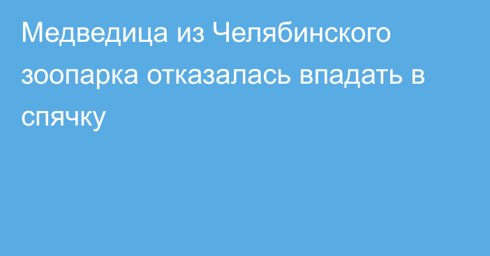 Медведица из Челябинского зоопарка отказалась впадать в спячку