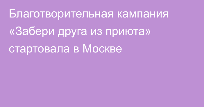 Благотворительная кампания «Забери друга из приюта» стартовала в Москве