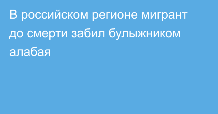 В российском регионе мигрант до смерти забил булыжником алабая