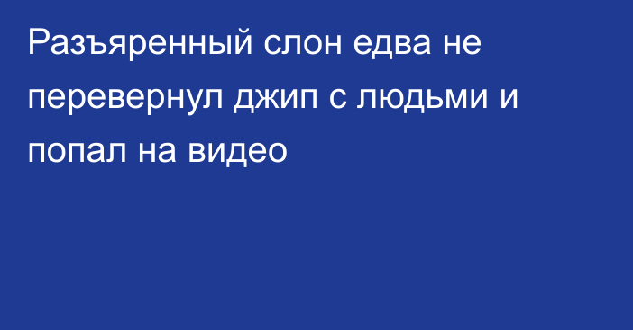 Разъяренный слон едва не перевернул джип с людьми и попал на видео