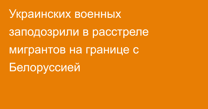 Украинских военных заподозрили в расстреле мигрантов на границе с Белоруссией