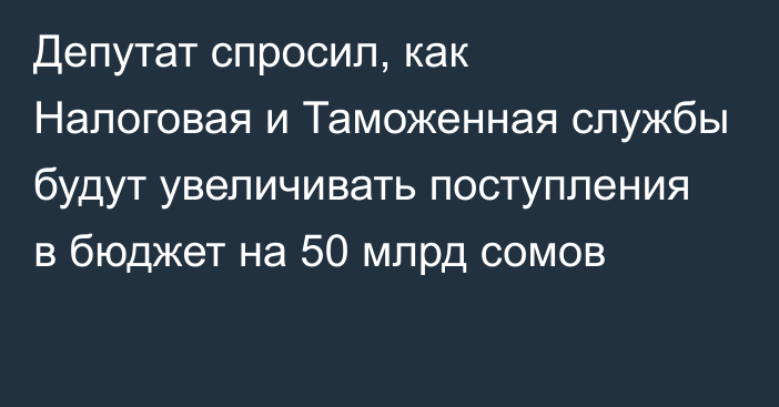 Депутат спросил, как Налоговая и Таможенная службы будут увеличивать поступления в бюджет на 50 млрд сомов