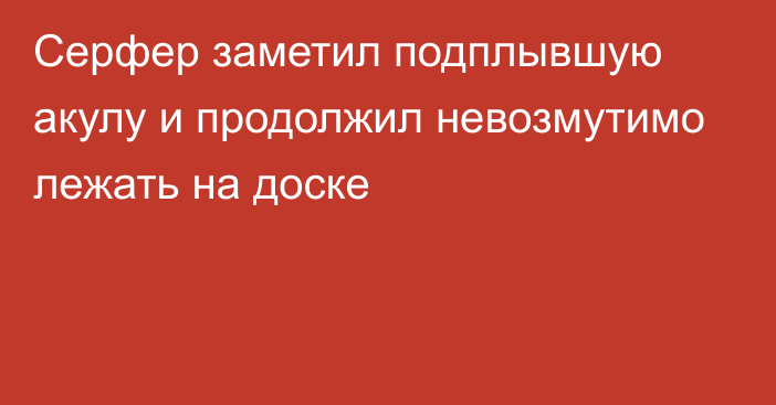 Серфер заметил подплывшую акулу и продолжил невозмутимо лежать на доске