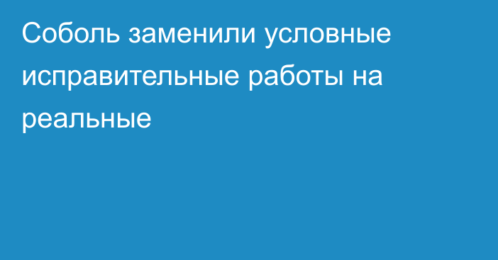 Соболь заменили условные исправительные работы на реальные