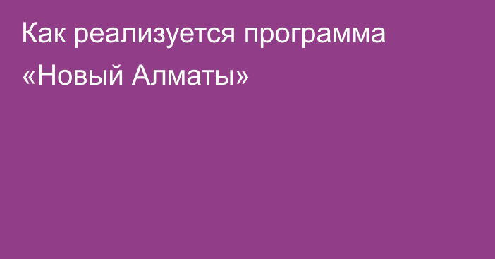 Как реализуется программа «Новый Алматы»