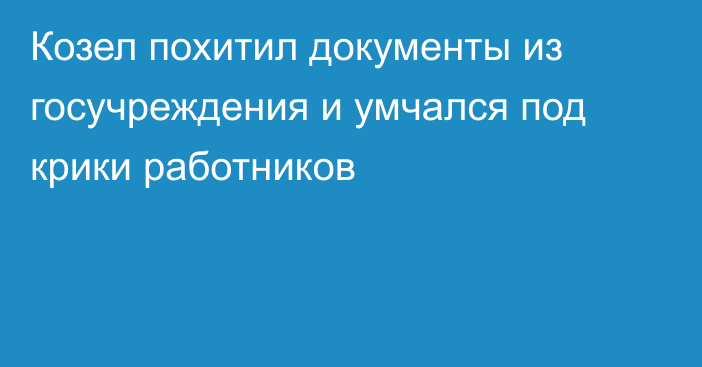 Козел похитил документы из госучреждения и умчался под крики работников