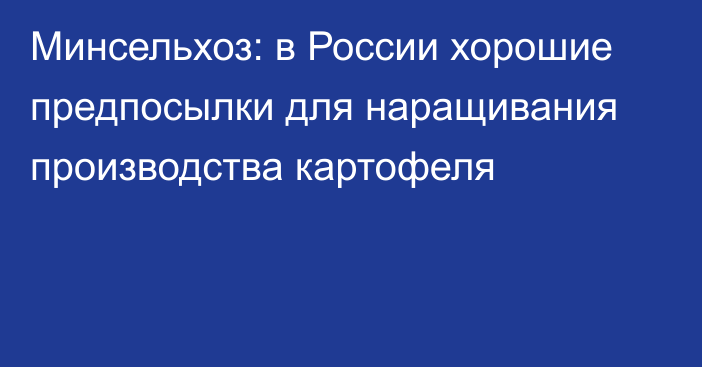 Минсельхоз: в России хорошие предпосылки для наращивания производства картофеля