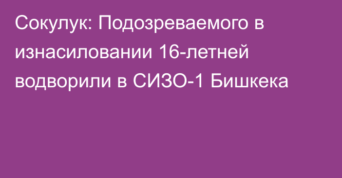 Сокулук: Подозреваемого в изнасиловании 16-летней водворили в СИЗО-1 Бишкека