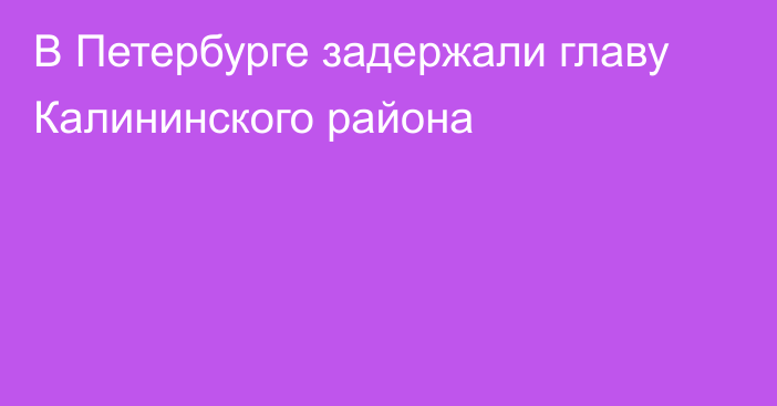 В Петербурге задержали главу Калининского района