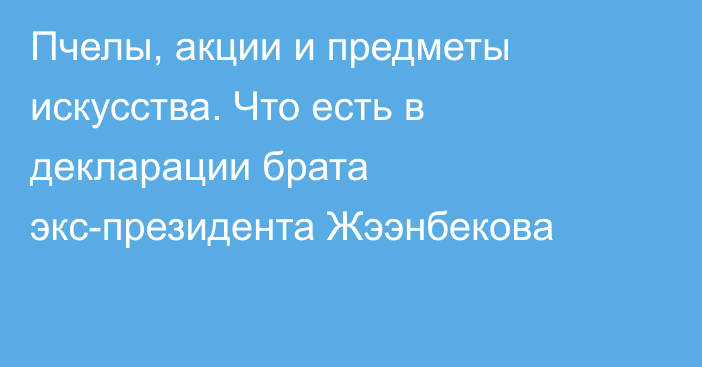 Пчелы, акции и предметы искусства. Что есть в декларации брата экс-президента Жээнбекова