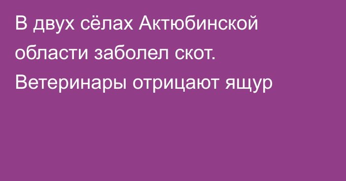 В двух сёлах Актюбинской области заболел скот. Ветеринары отрицают ящур