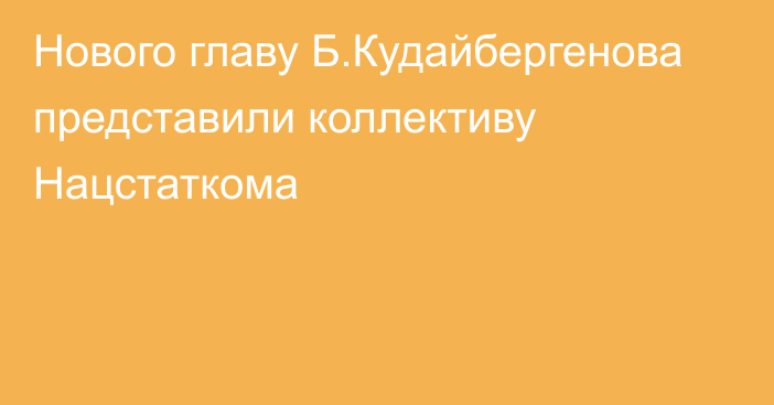 Нового главу Б.Кудайбергенова представили коллективу Нацстаткома