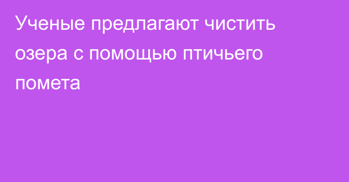 Ученые предлагают чистить озера с помощью птичьего помета