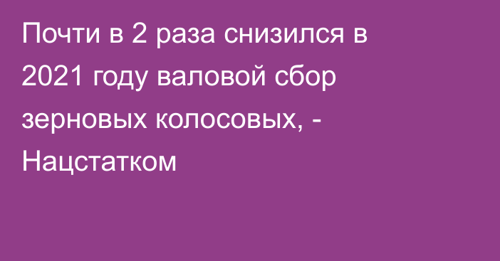 Почти в 2 раза снизился в 2021 году валовой сбор зерновых колосовых, - Нацстатком