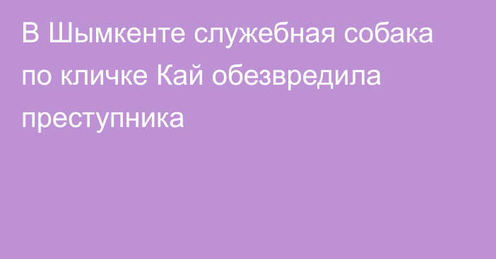 В Шымкенте служебная собака по кличке Кай обезвредила преступника