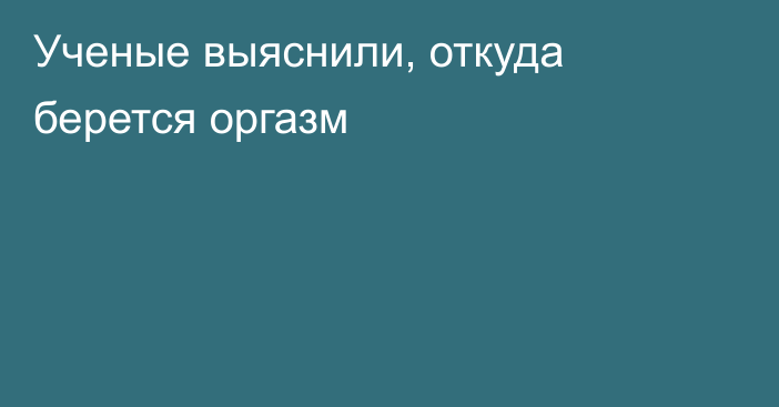 Ученые выяснили, откуда берется оргазм