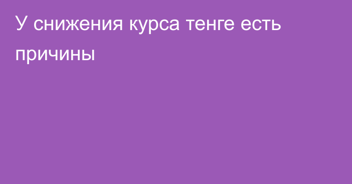 У снижения курса тенге есть причины