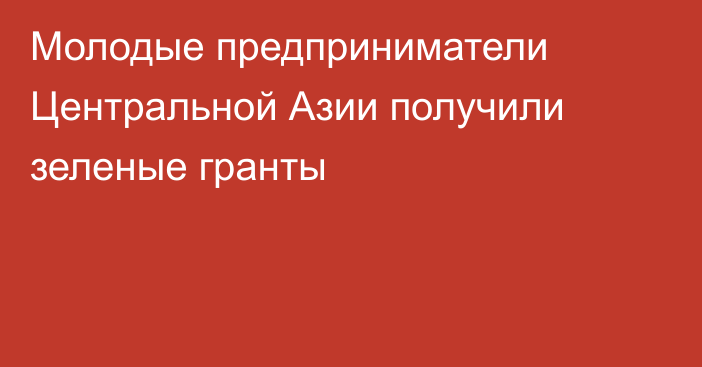 Молодые предприниматели Центральной Азии получили зеленые гранты