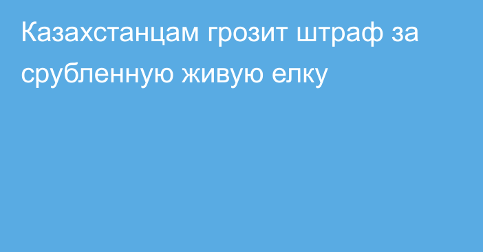 Казахстанцам грозит штраф за срубленную живую елку