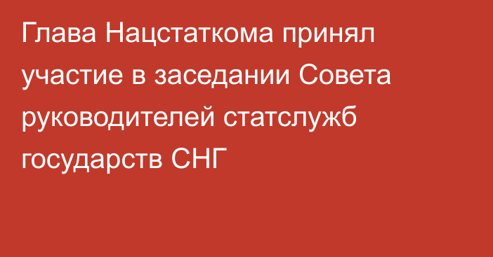 Глава Нацстаткома принял участие в заседании Совета руководителей статслужб государств СНГ