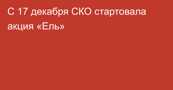 С 17 декабря СКО стартовала акция «Ель»