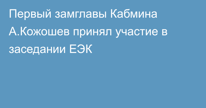 Первый замглавы Кабмина А.Кожошев принял участие в заседании ЕЭК