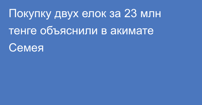 Покупку двух елок за 23 млн тенге объяснили в акимате Семея