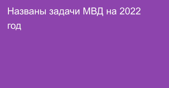 Названы задачи МВД на 2022 год