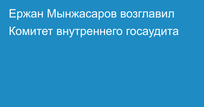 Ержан Мынжасаров возглавил Комитет внутреннего госаудита