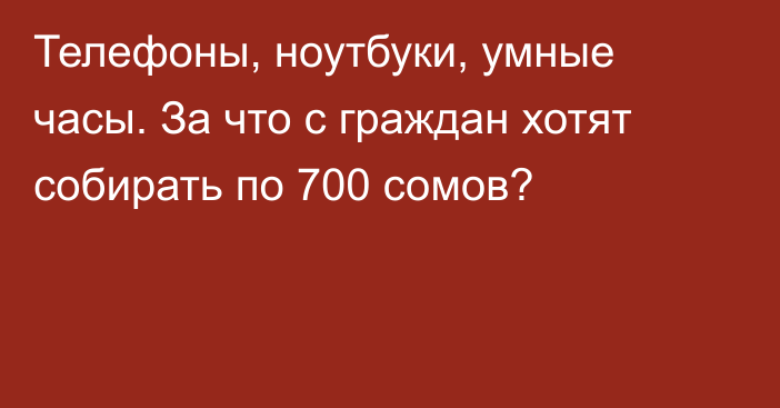 Телефоны, ноутбуки, умные часы. За что с граждан хотят собирать по 700 сомов?