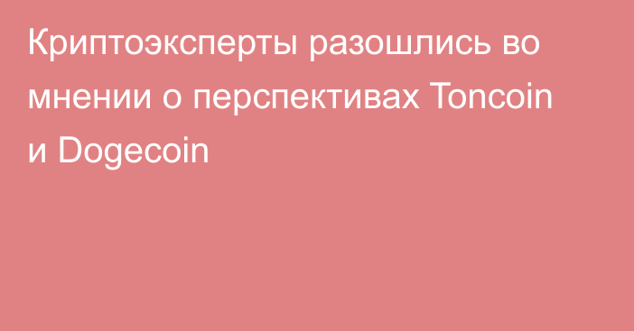 Криптоэксперты разошлись во мнении о перспективах Toncoin и Dogecoin