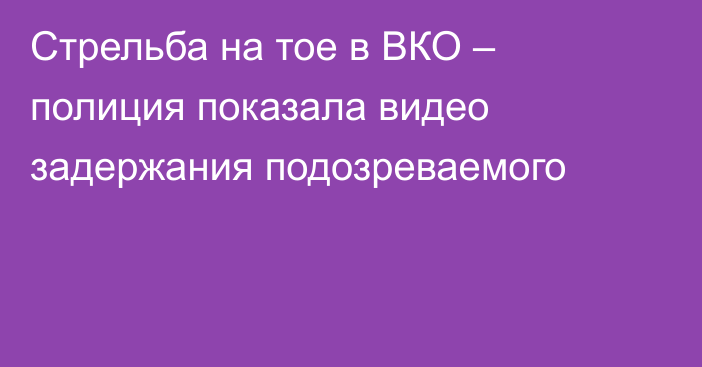 Стрельба на тое в ВКО – полиция показала видео задержания подозреваемого