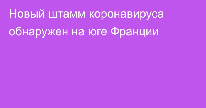 Новый штамм коронавируса обнаружен на  юге Франции