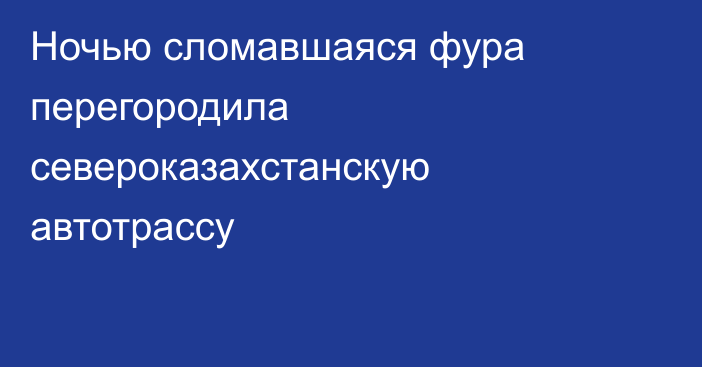 Ночью сломавшаяся фура перегородила североказахстанскую автотрассу