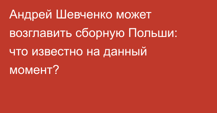 Андрей Шевченко может возглавить сборную Польши: что известно на данный момент?