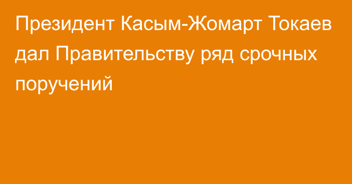 Президент Касым-Жомарт Токаев дал Правительству ряд срочных поручений