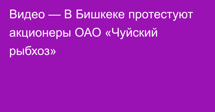 Видео — В Бишкеке протестуют акционеры ОАО «Чуйский рыбхоз»